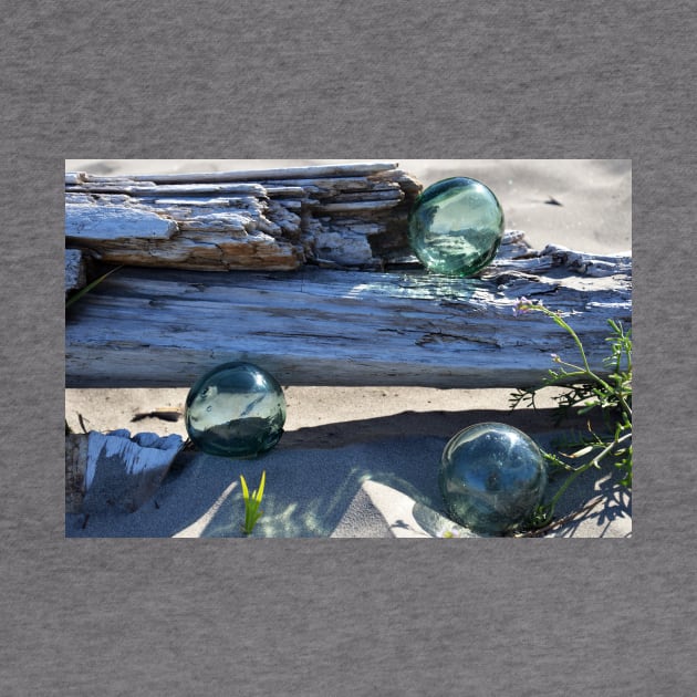 Japanese Glass Fishing Floats and Driftwood by DeniseBruchmanPhotography